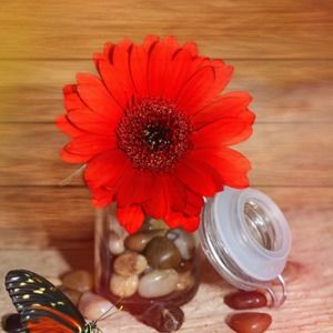 Meet your Posher, Natasha